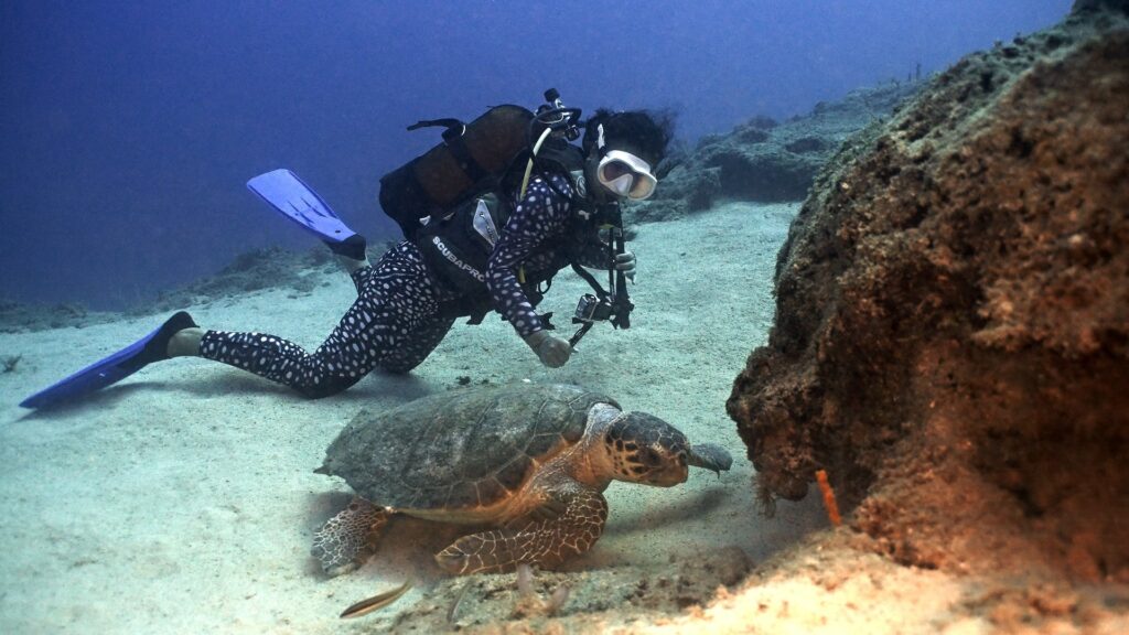 Caretta caretta-Tauchen© Go Türkiye