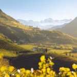 Goldgelbe Herbstlandschaft