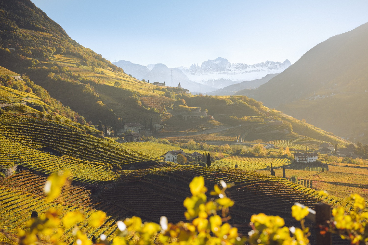 Goldgelbe Herbstlandschaft